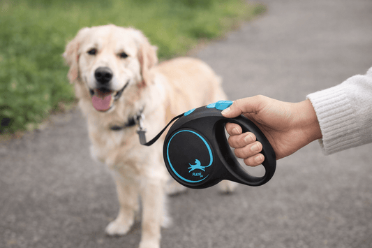 Automatische Hundeleine 5 m – Ausziehbar, Robust & Sicher (Größe M) - PfotenShop