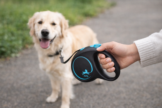 Automatische Hundeleine 5 m – Ausziehbar, Robust & Sicher (Größe M)