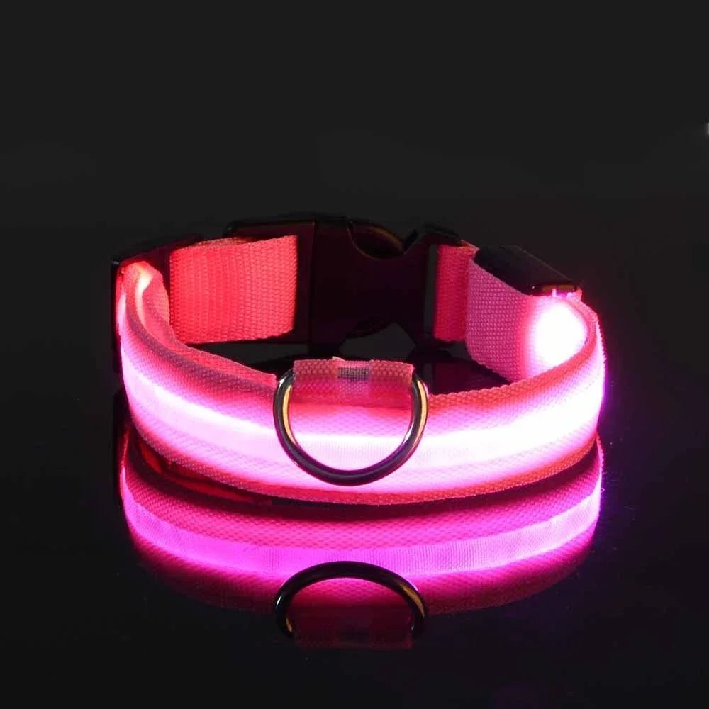 Premium LED Hundehalsband USB aufladbar – Wasserdicht & Sichtbar bis 500m - PfotenEshop