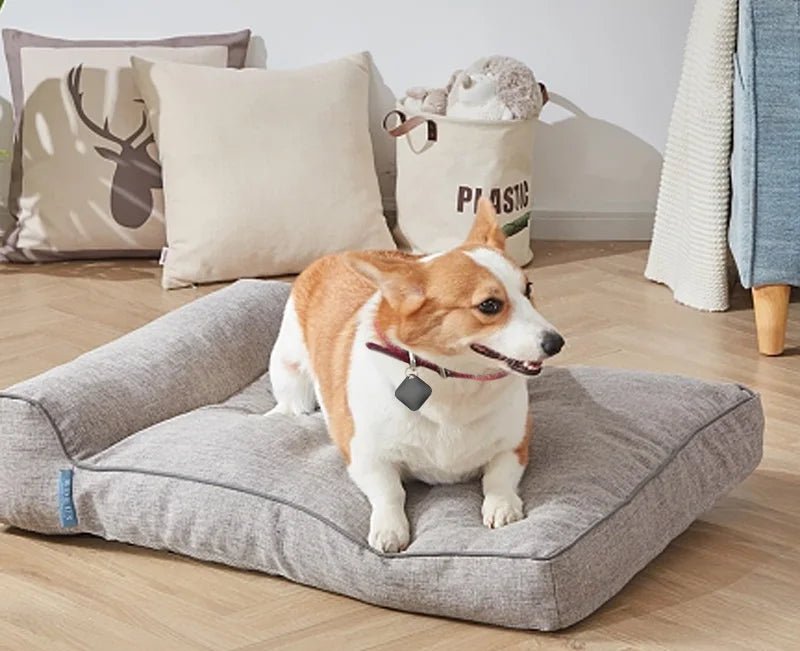 4er Set Smart Pet Tracker – Bluetooth GPS-Finder für Hunde & Katzen (Apple Find My & Google Network) - PfotenEshop