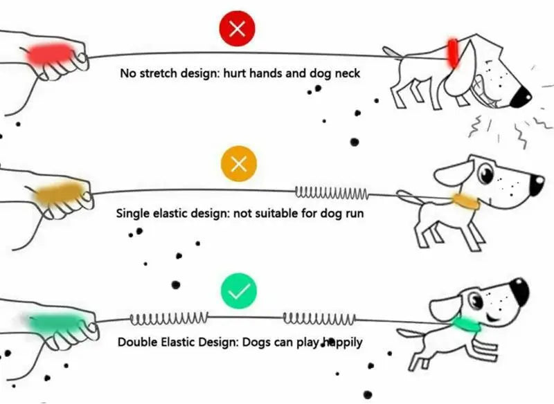 Reflektierende Joggingleine für Hunde mit elastischem Bungee-Effekt