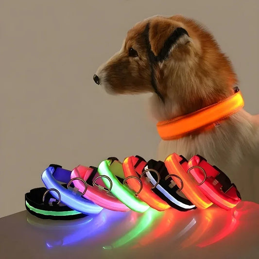 LED Hundehalsband leuchtend für Sicherheit bei Nacht