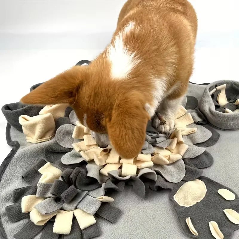 Interaktiver Schnüffelteppich für Hunde & Katzen – Intelligenzspielzeug & Anti - Schling - Matte - PfotenEshop