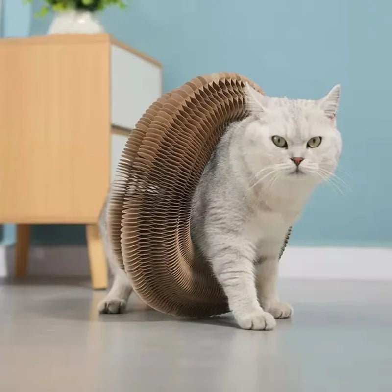 Magisches Organ Katzen - Kratzbrett | Interaktives Spielzeug & Krallenpflege - PfotenEshop
