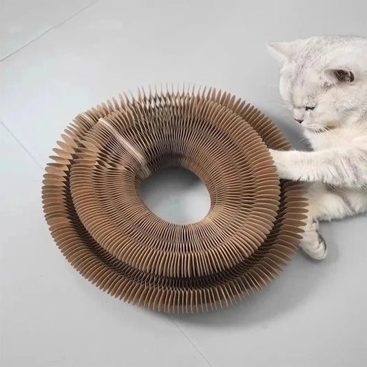 Magisches Organ Katzen - Kratzbrett | Interaktives Spielzeug & Krallenpflege - PfotenEshop