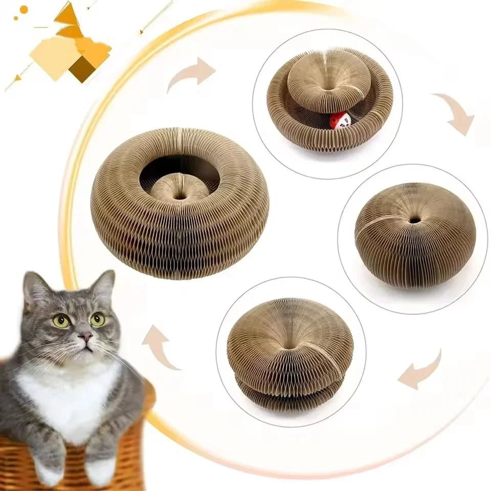 Magisches Organ Katzen - Kratzbrett | Interaktives Spielzeug & Krallenpflege - PfotenEshop