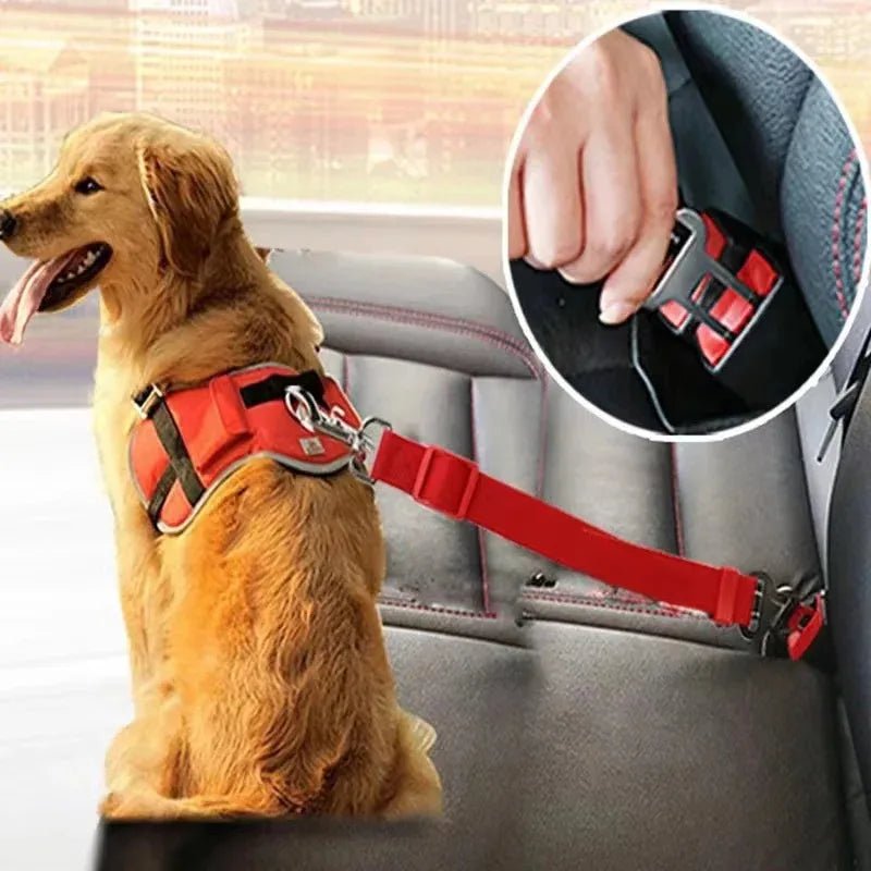 Premium Auto-Sicherheitsgurt für Hunde & Katzen – Verstellbar & Robust - PfotenEshop