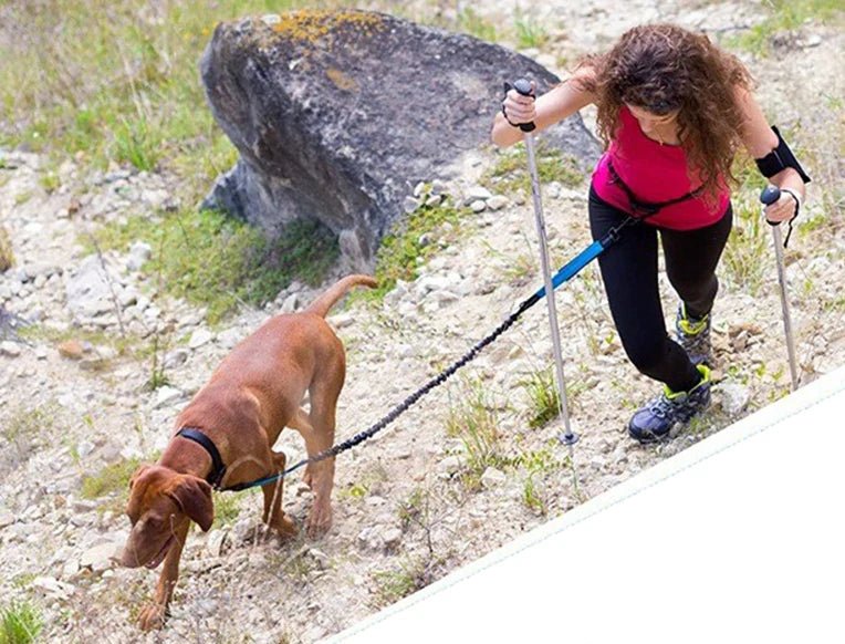 Premium Freihändige Hundeleine mit Bauchgurt – Elastische Joggingleine mit Ruckdämpfer - PfotenEshop