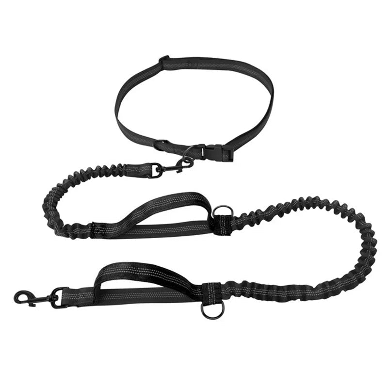 Premium Freihändige Hundeleine mit Bauchgurt – Elastische Joggingleine mit Ruckdämpfer - PfotenEshop