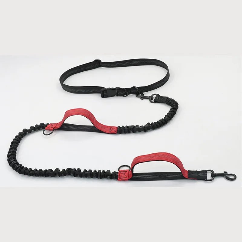 Premium Freihändige Hundeleine mit Bauchgurt – Elastische Joggingleine mit Ruckdämpfer - PfotenEshop