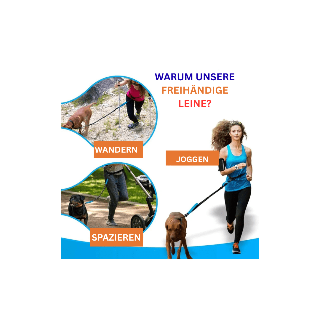 Premium Freihändige Hundeleine mit Bauchgurt – Elastische Joggingleine mit Ruckdämpfer - PfotenEshop