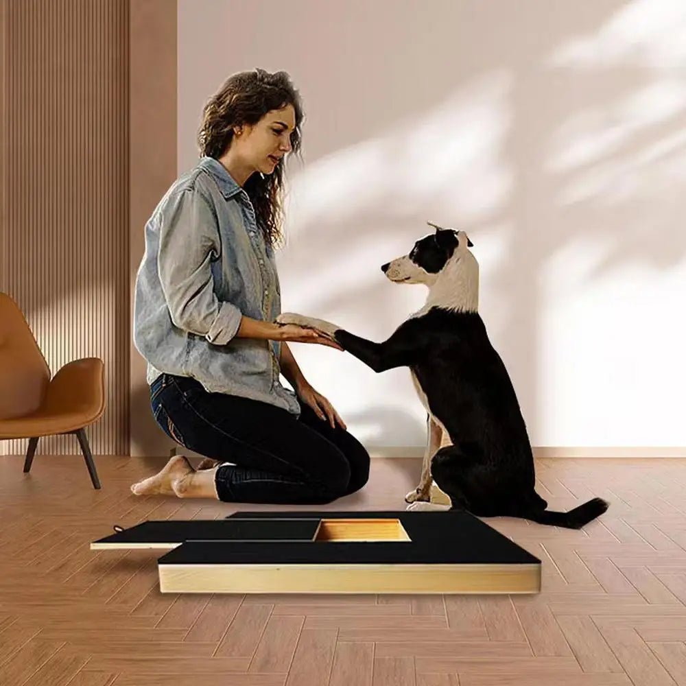 Premium Hunde Kratzbrett für Krallen mit Leckerli-Fach – Stressfreie Nagelfeile Matte - PfotenEshop