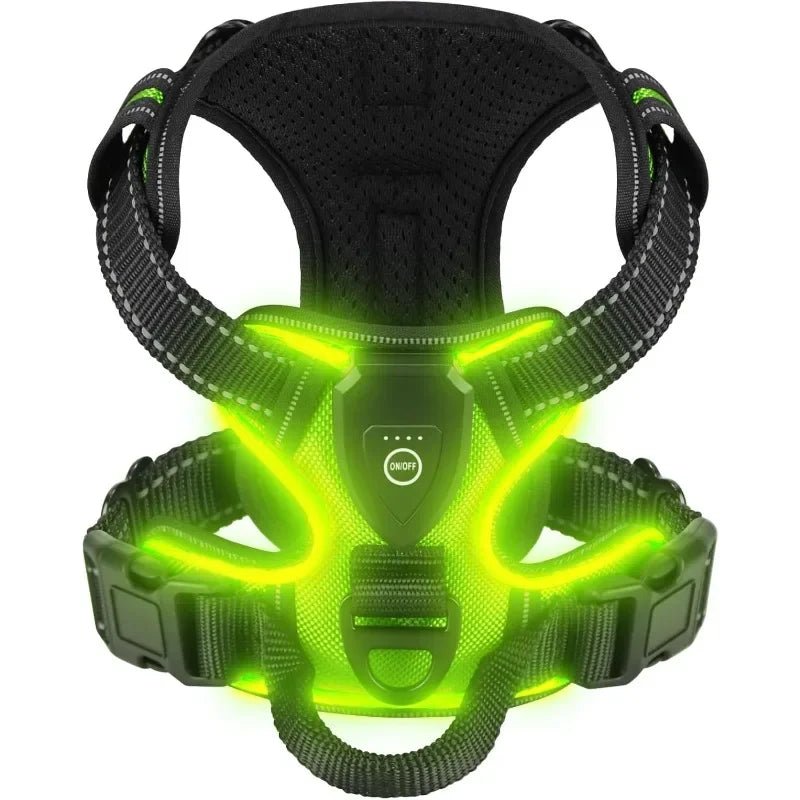 Premium LED Hundegeschirr – Aufladbar & Sicher - PfotenEshop