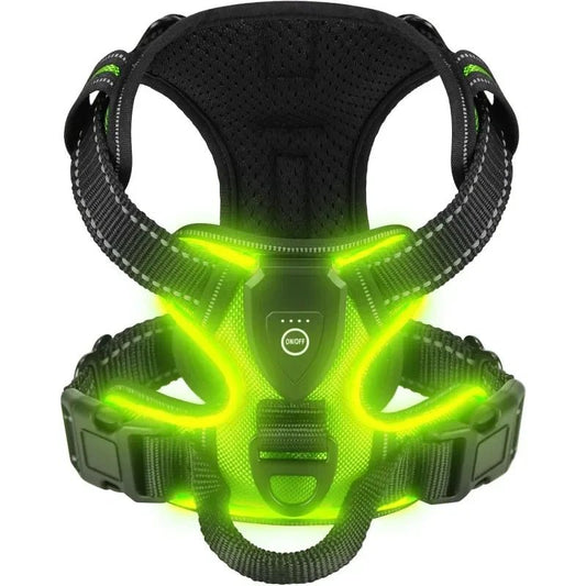 Premium LED Hundegeschirr – Aufladbar & Sicher - PfotenEshop