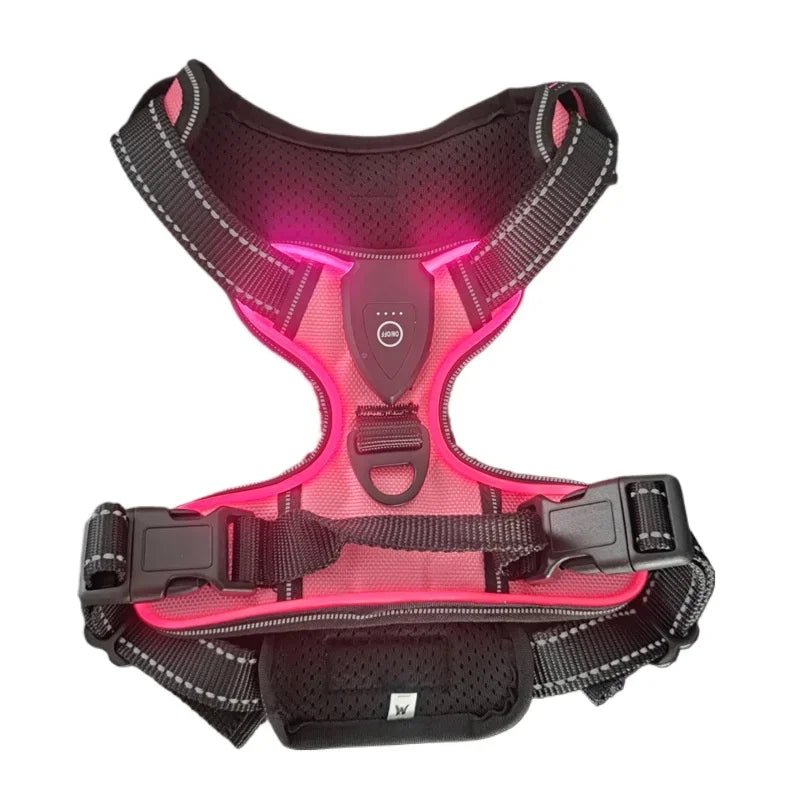Premium LED Hundegeschirr – Aufladbar & Sicher - PfotenEshop