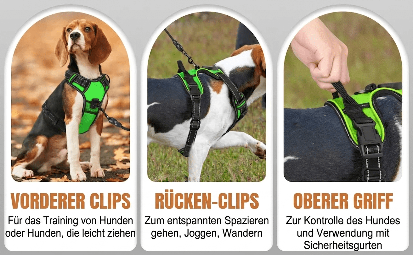 Premium LED Hundegeschirr – Aufladbar & Sicher - PfotenEshop