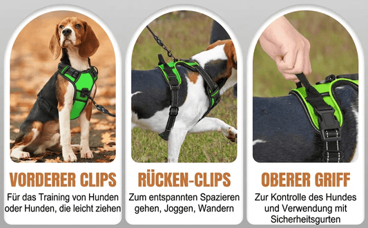 Premium LED Hundegeschirr – Aufladbar & Sicher - PfotenEshop