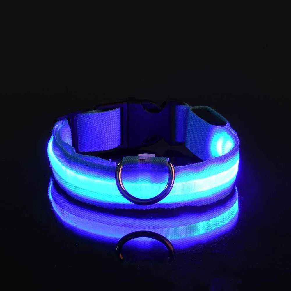 Premium LED Hundehalsband USB aufladbar – Wasserdicht & Sichtbar bis 500m - PfotenEshop