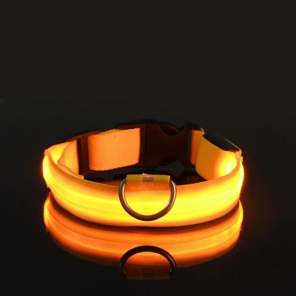Premium LED Hundehalsband USB aufladbar – Wasserdicht & Sichtbar bis 500m - PfotenEshop