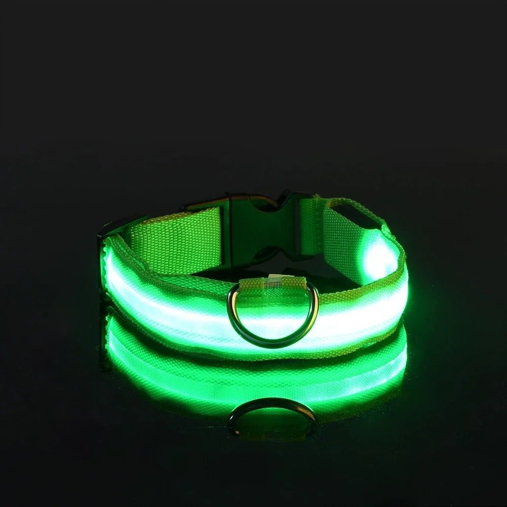 Premium LED Hundehalsband USB aufladbar – Wasserdicht & Sichtbar bis 500m - PfotenEshop