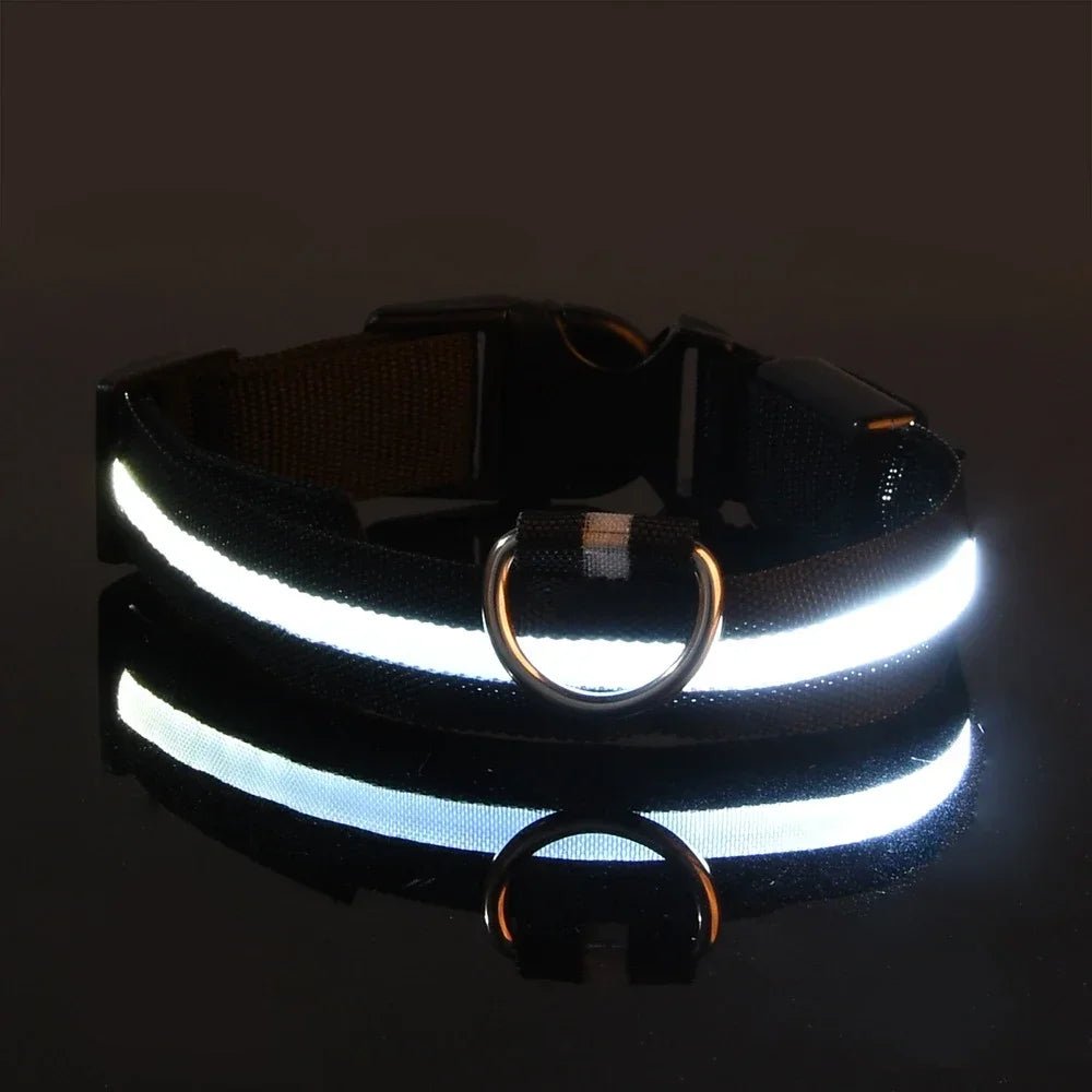 Premium LED Hundehalsband USB aufladbar – Wasserdicht & Sichtbar bis 500m - PfotenEshop