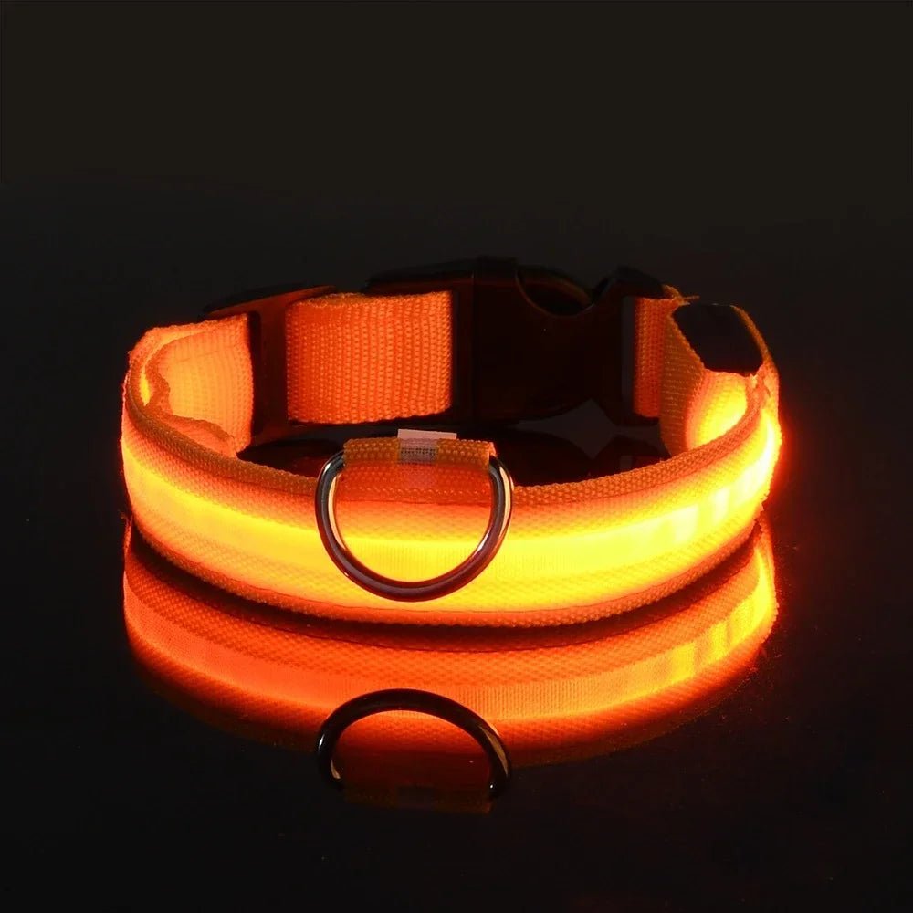 Premium LED Hundehalsband USB aufladbar – Wasserdicht & Sichtbar bis 500m - PfotenEshop