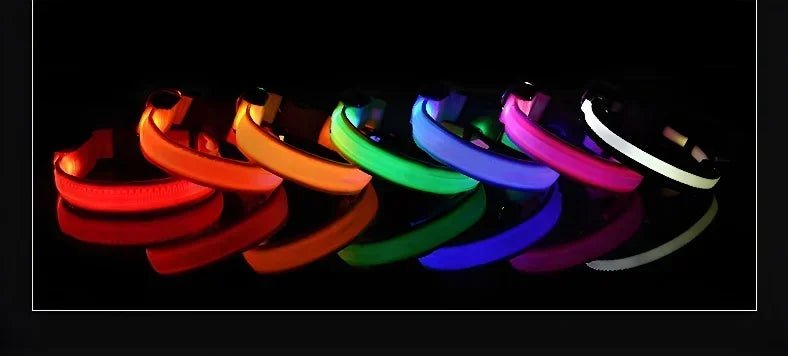 Premium LED Hundehalsband USB aufladbar – Wasserdicht & Sichtbar bis 500m - PfotenEshop