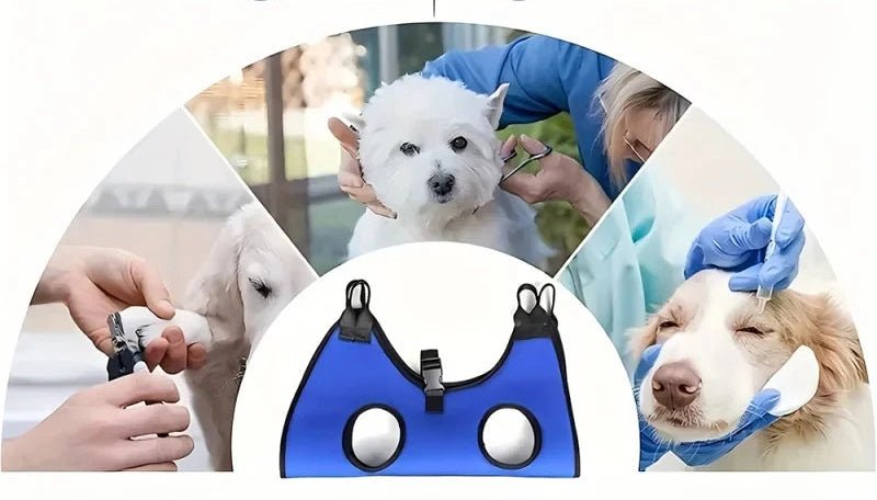 Hunde Hängematte zur Krallenpflege | Sicher & Stressfrei